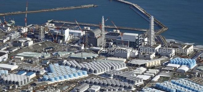 已经掌握独立建造第三代核电站技术的国家对比分析：技术实力、优缺点及适用场景